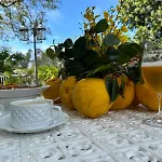 A Casa Da Parrula