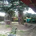 Albergue Roots & Boots