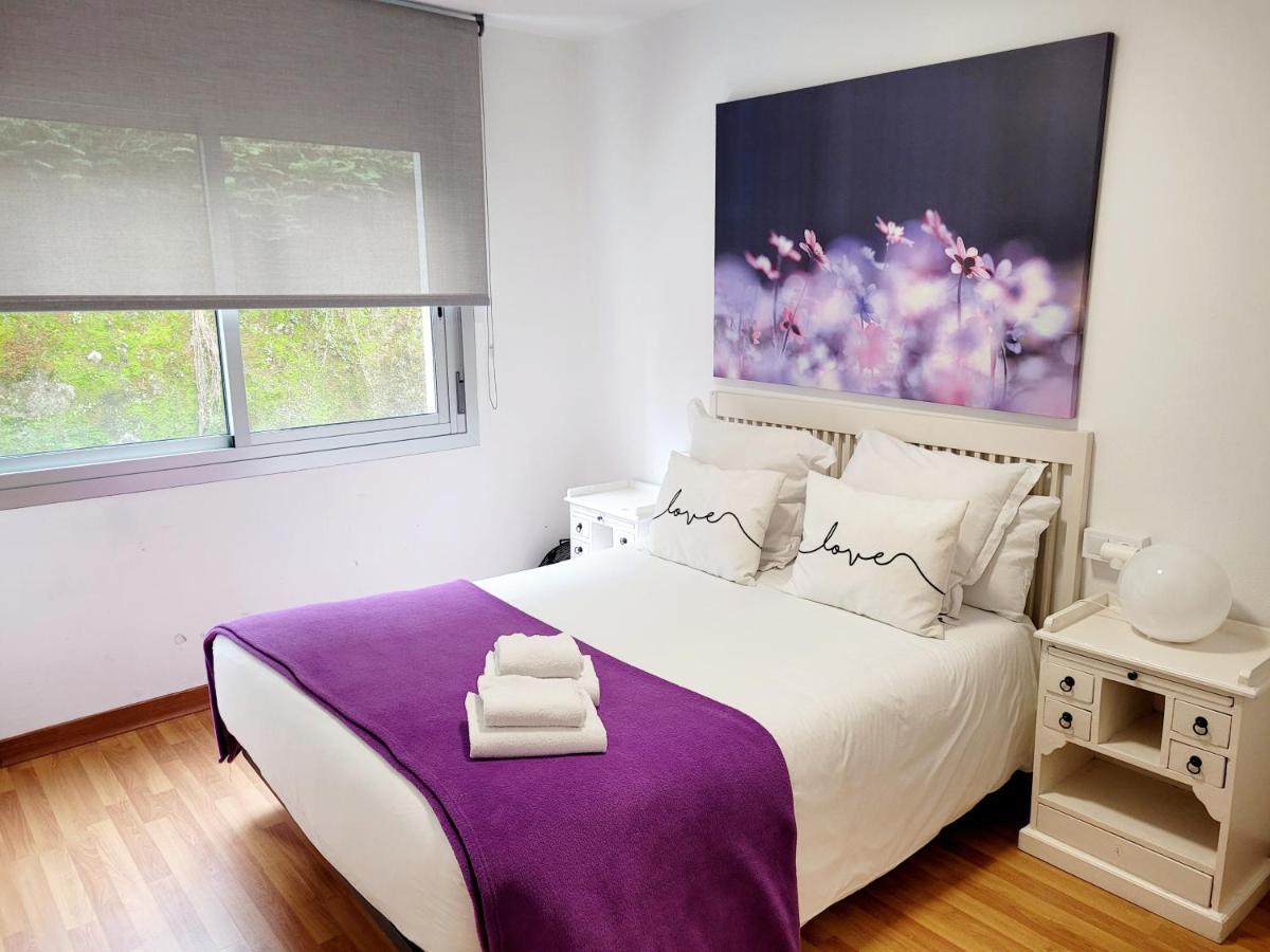 Amplio Piso Próximo A La Catedral Y El Camino. C2 Apartamento