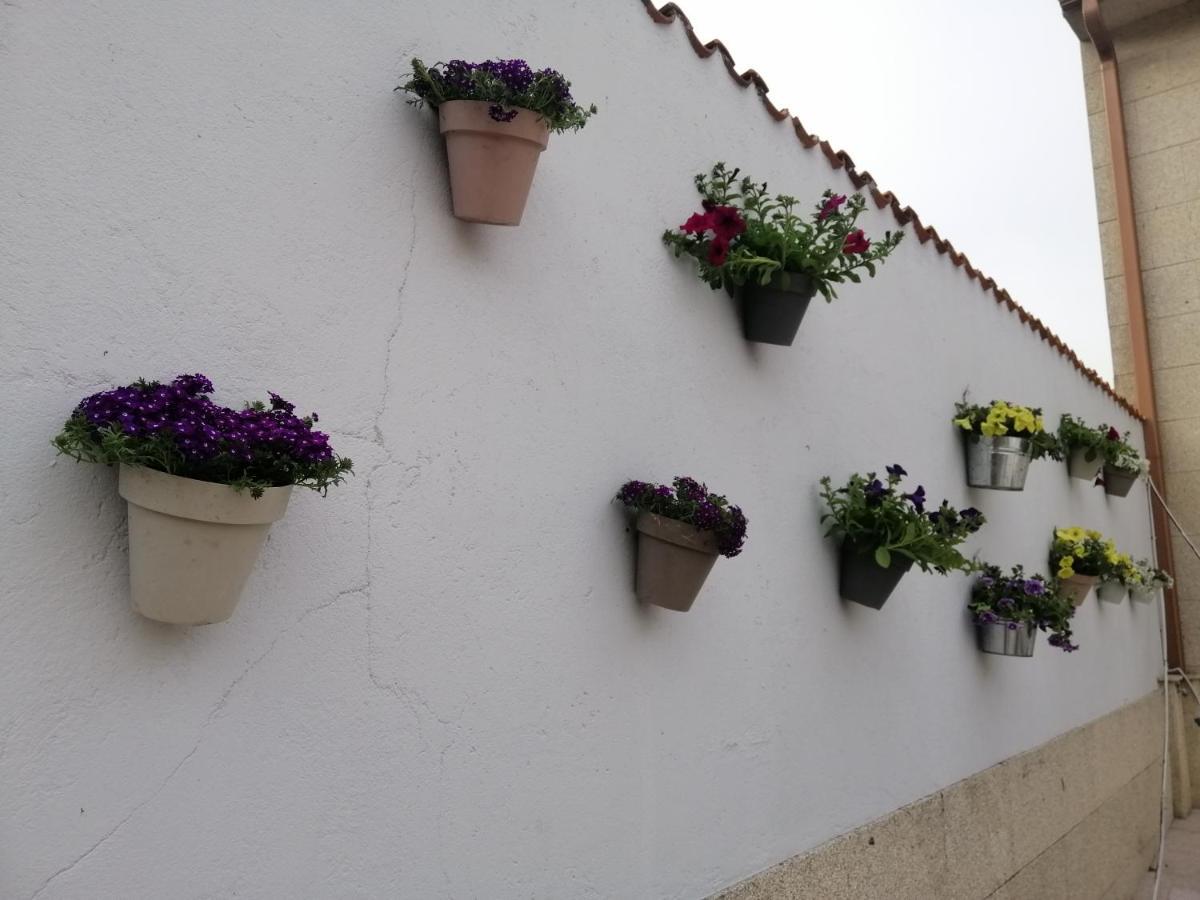 Casa Reibon