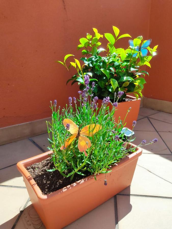 ático Con Terraza En El Centro Vut-co-04045 Santiago de Compostela