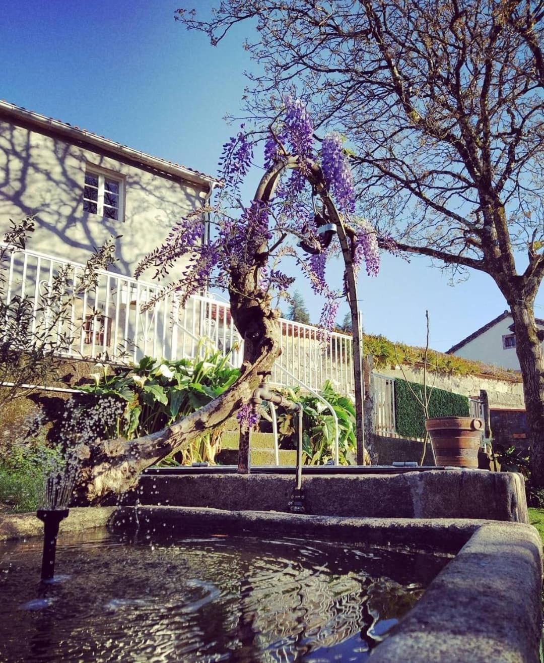 Homestay A Casa Da Parrula Santiago de Compostela