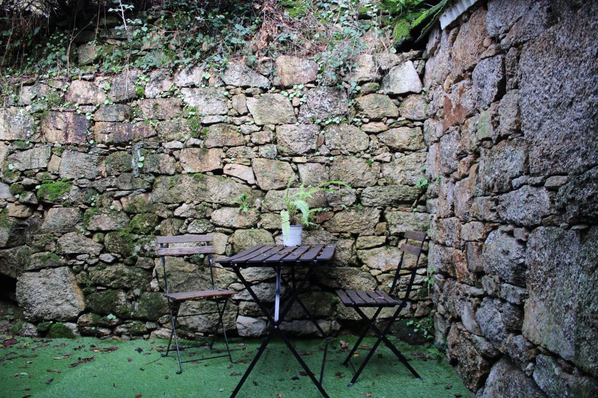 Casa-loft En El Bosque *