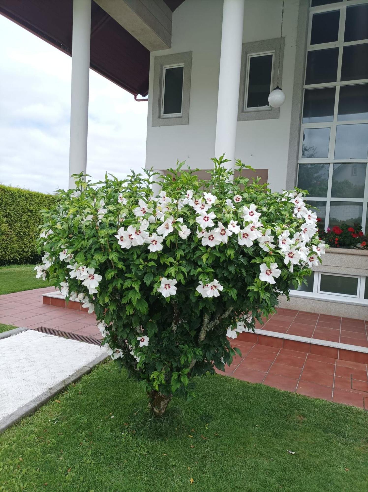 Casa D Aitana Сasa de vacaciones