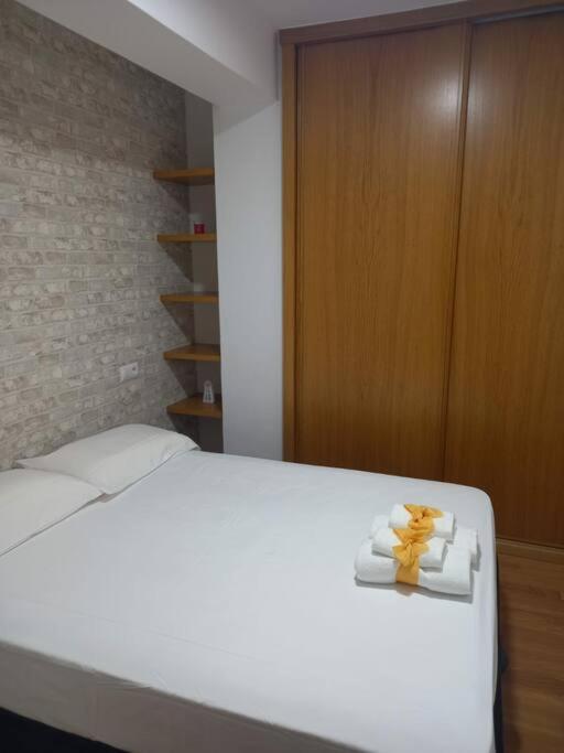 Apartamento En Pleno Centro De Santiago Con Wifi