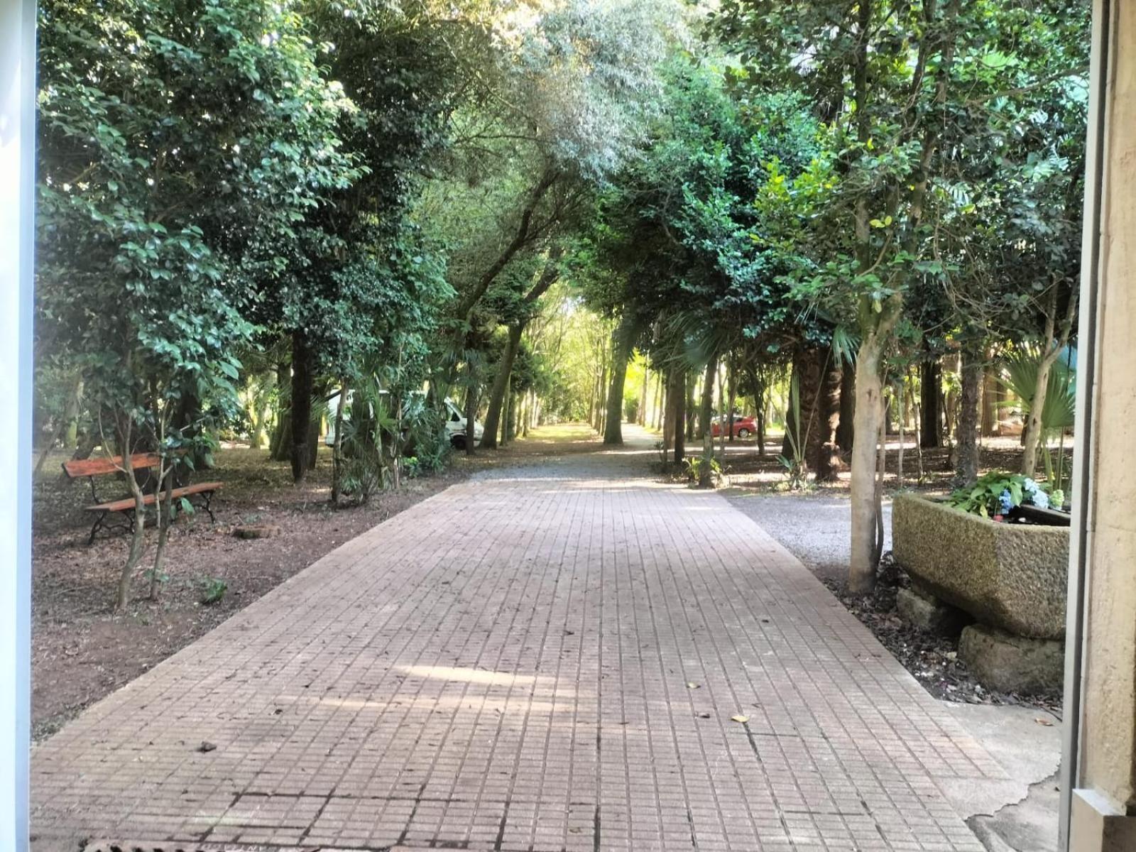 Oasis Ponte San Lazaro *