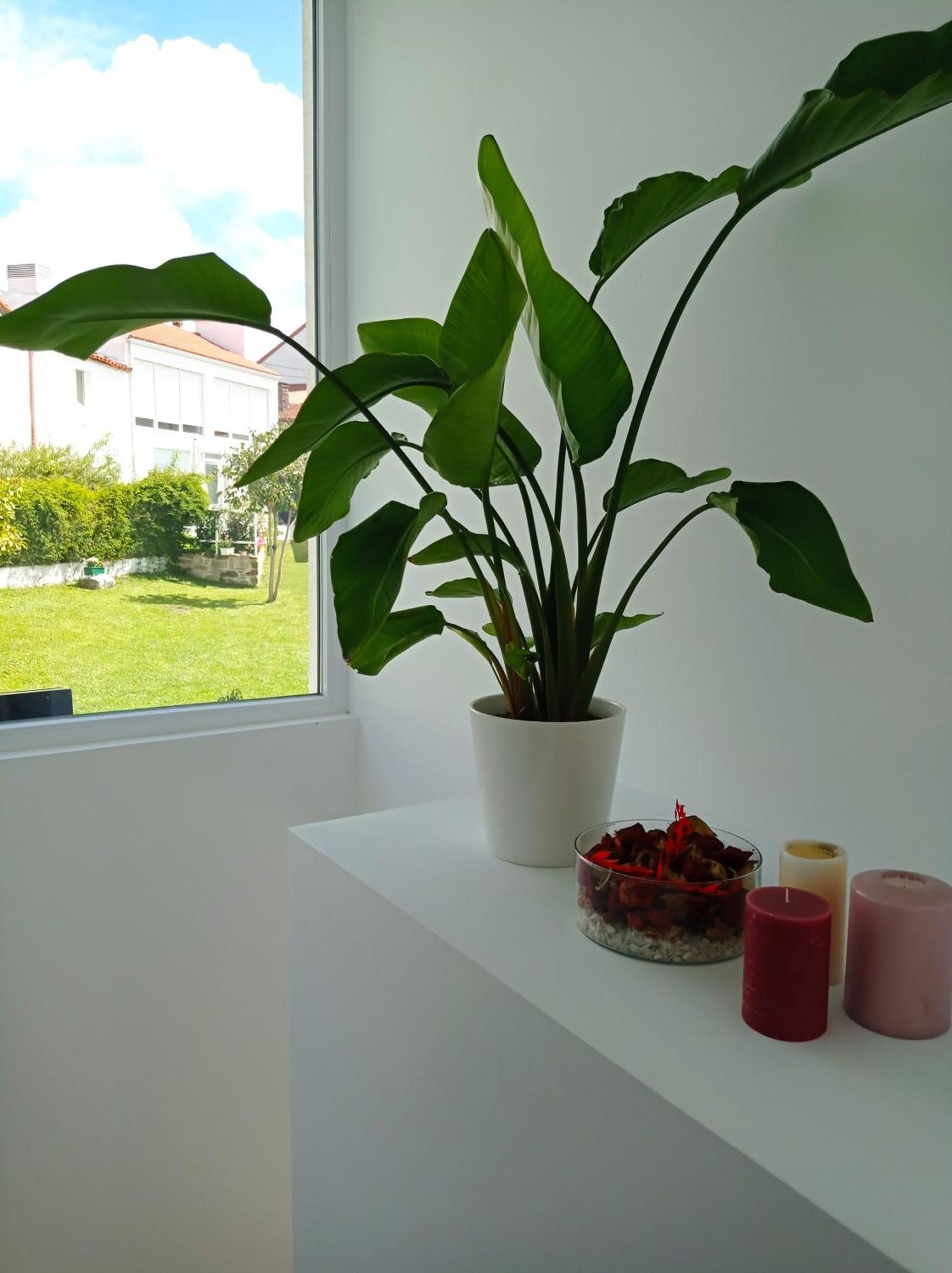 Lar Jardin - Parking Privado * Santiago de Compostela