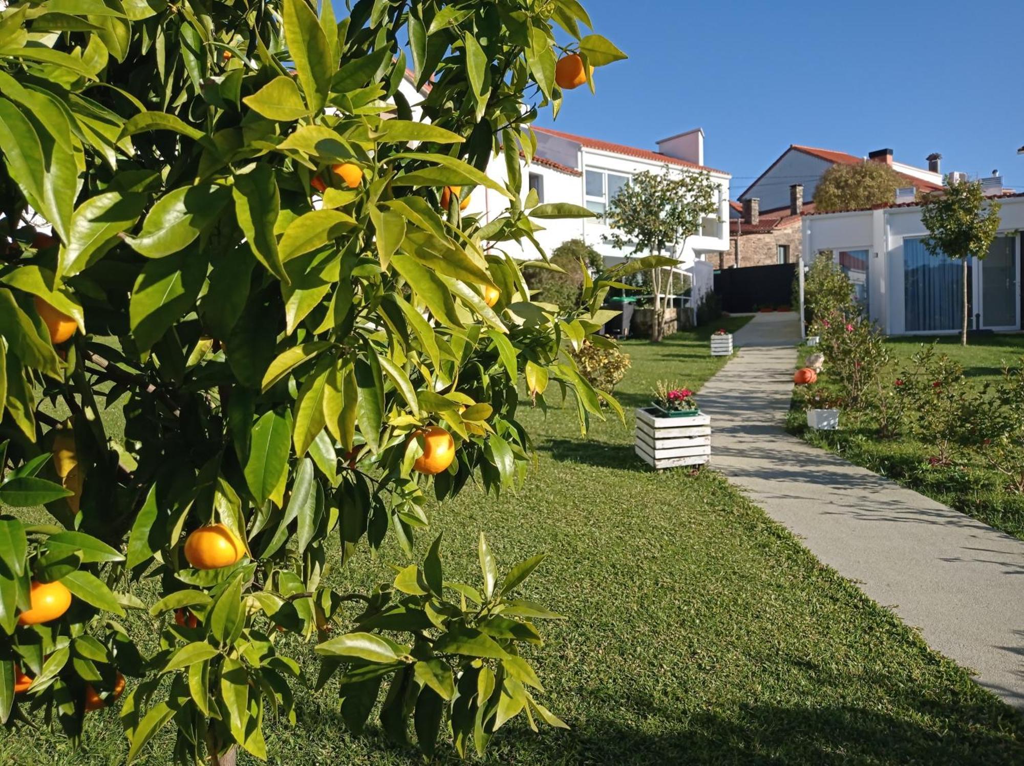 Сasa de vacaciones Lar Jardin - Parking Privado