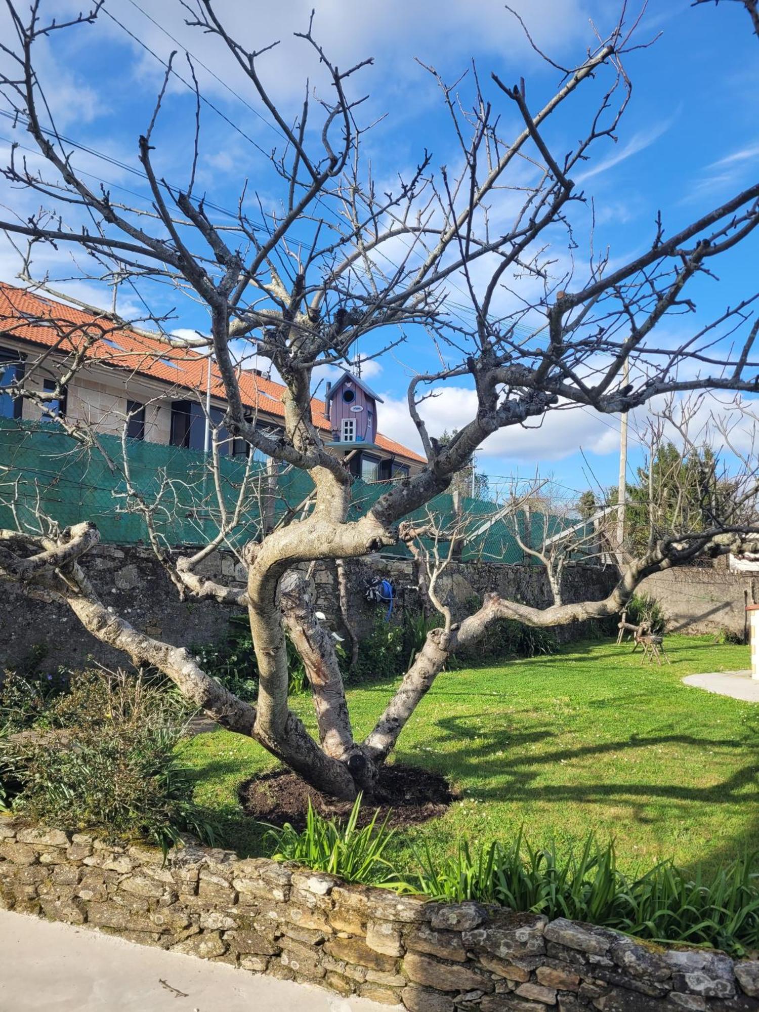 Besbello Apartment Santiago de Compostela