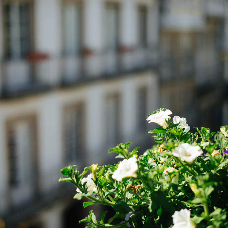 Hotel Arco De Mazarelos