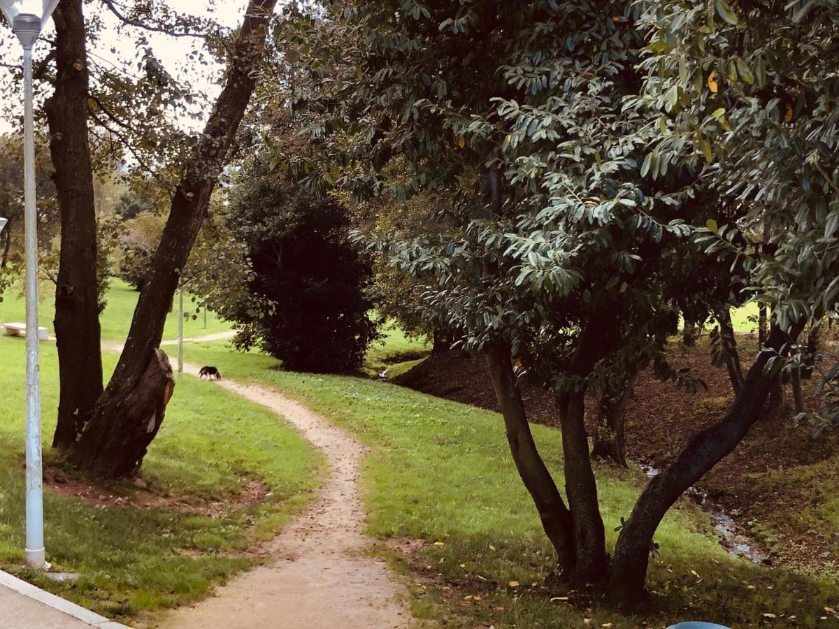 Ale Camino Boutique Santiago de Compostela